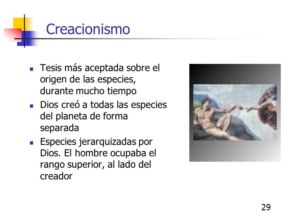 Creacionismo Tesis más aceptada sobre el origen de las especies, durante mucho tiempo. Dios creó a todas las especies del planeta de forma separada.
