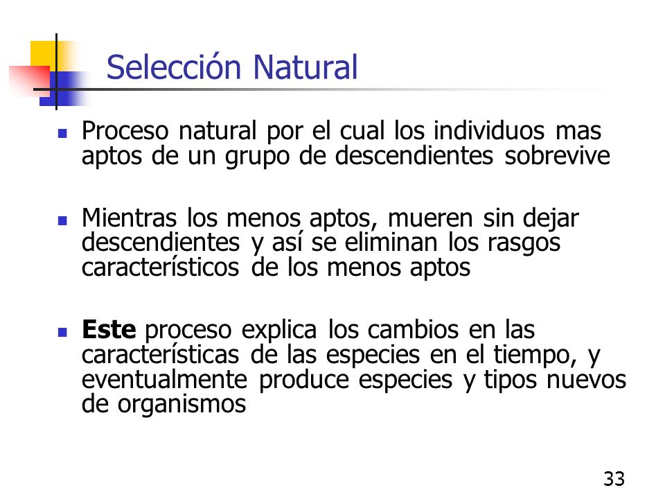 Selección Natural Proceso natural por el cual los individuos mas aptos de un grupo de descendientes sobrevive.