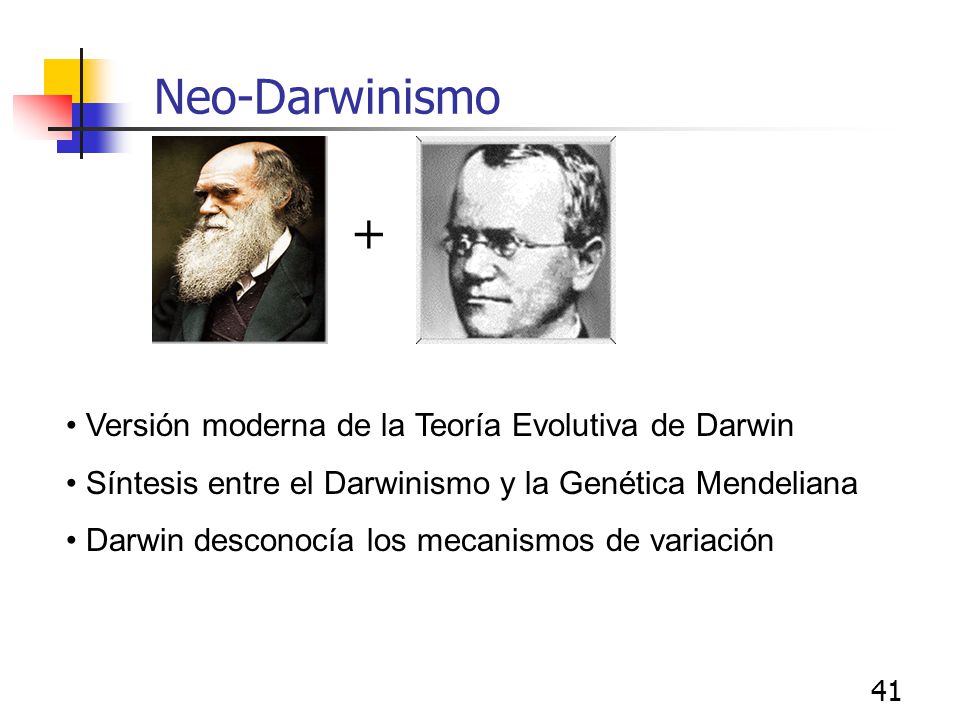 + Neo-Darwinismo Versión moderna de la Teoría Evolutiva de Darwin