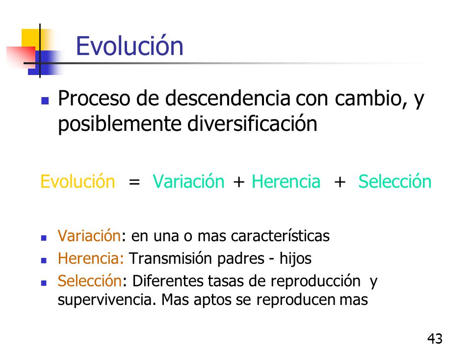 Evolución Proceso de descendencia con cambio, y posiblemente diversificación. Evolución = Variación + Herencia + Selección.