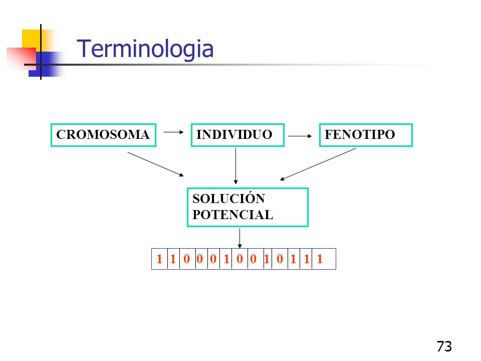 Terminologia CROMOSOMA INDIVIDUO FENOTIPO SOLUCIÓN POTENCIAL