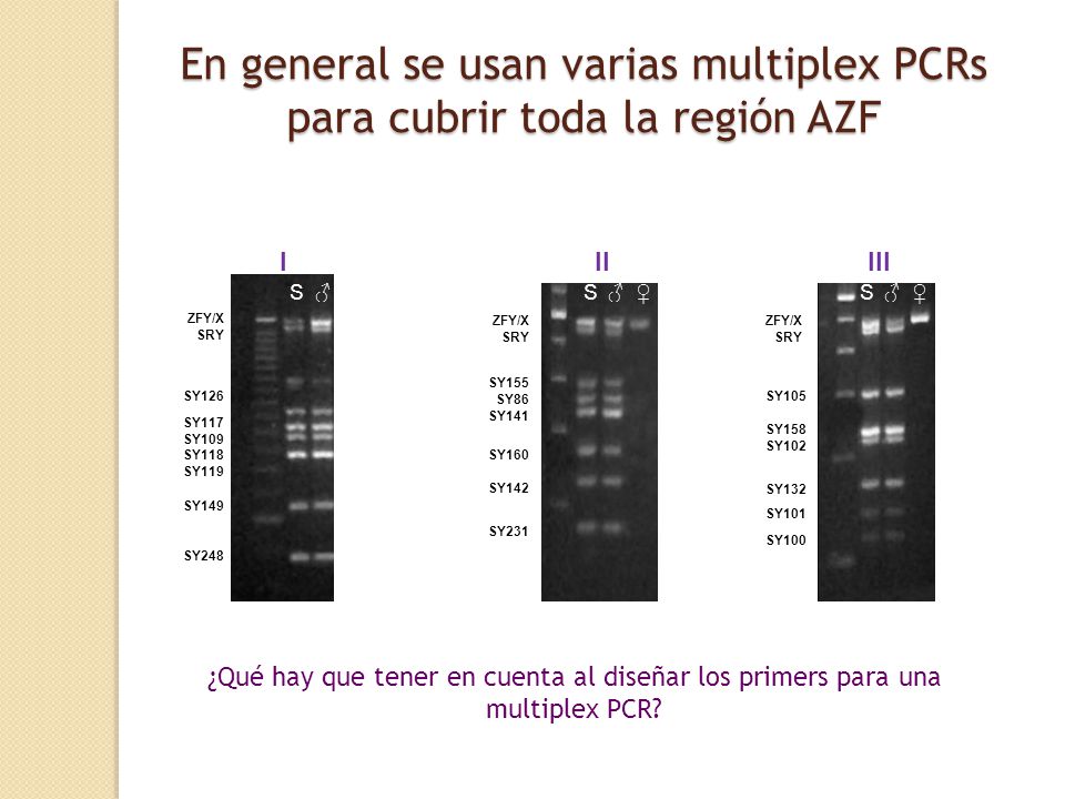 En general se usan varias multiplex PCRs para cubrir toda la región AZF