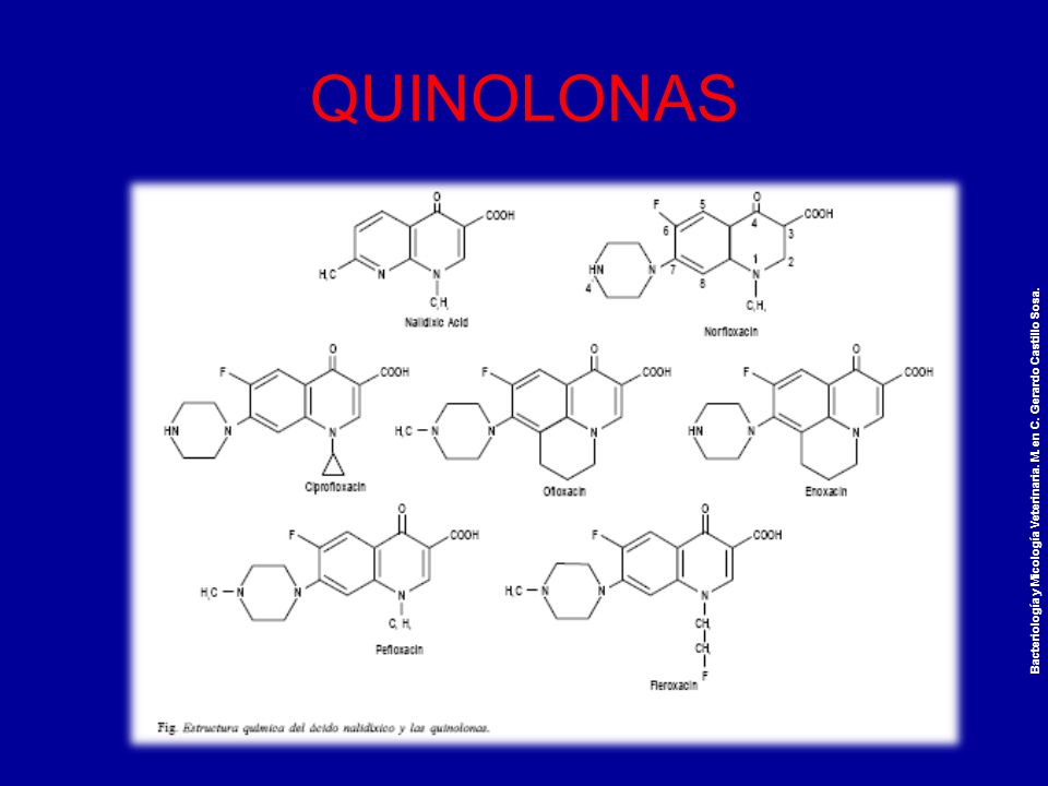 QUINOLONAS Bacteriología y Micología Veterinaria. M. en C. Gerardo Castillo Sosa.