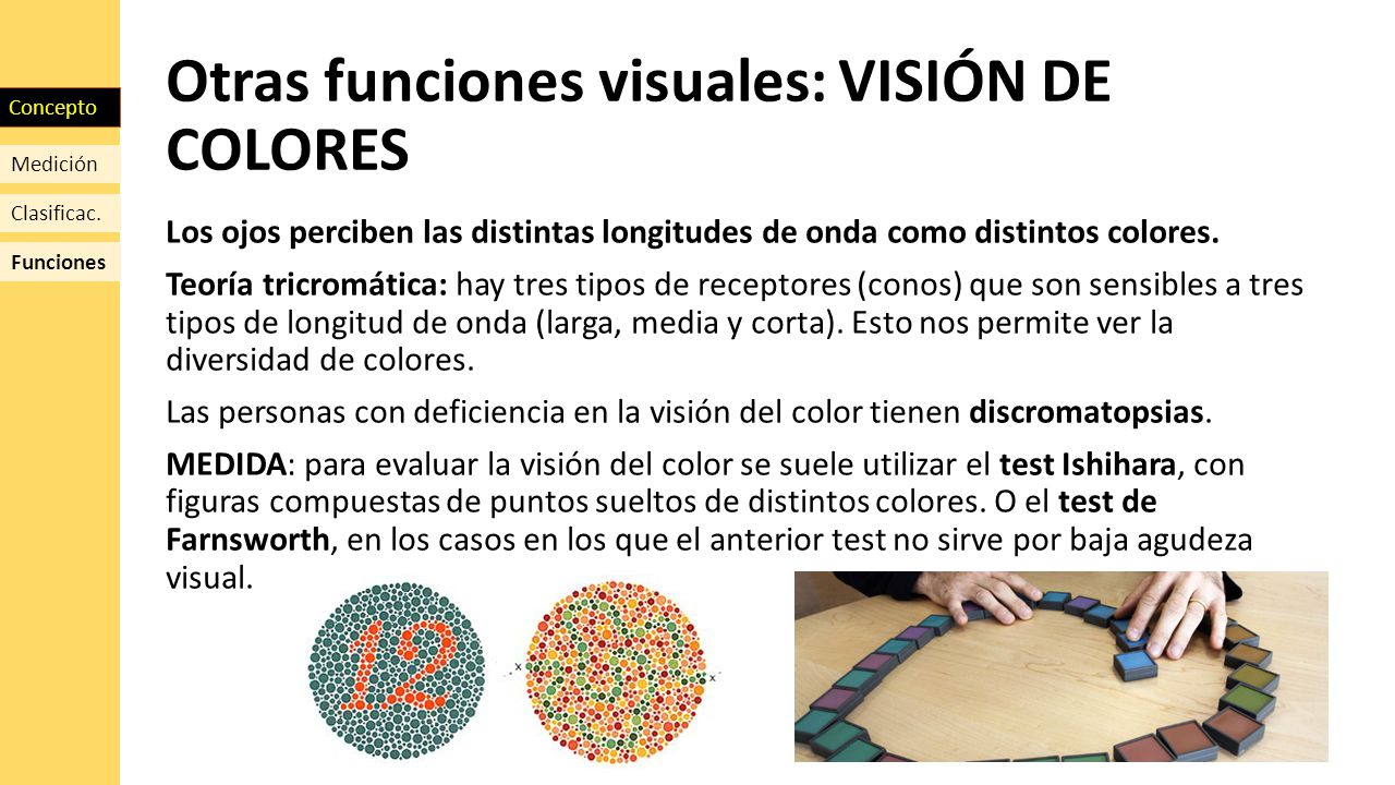 Otras funciones visuales: VISIÓN DE COLORES
