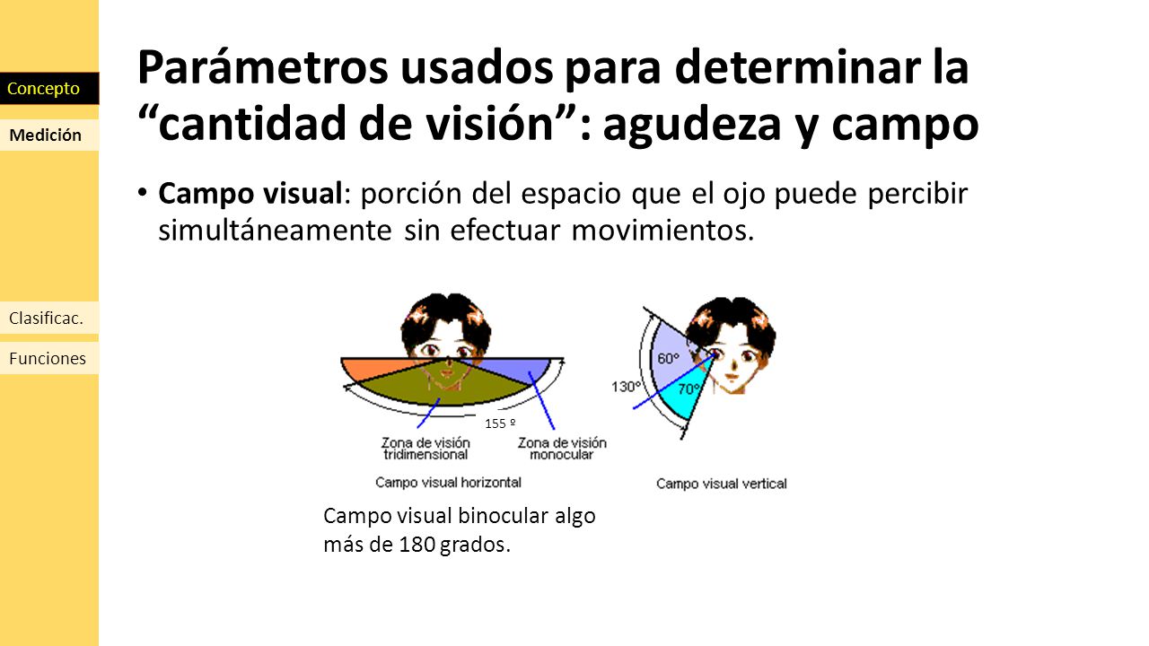Parámetros usados para determinar la cantidad de visión : agudeza y campo