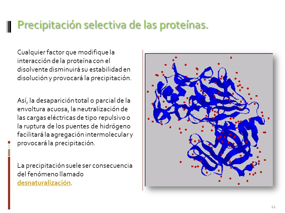 Precipitación selectiva de las proteínas.