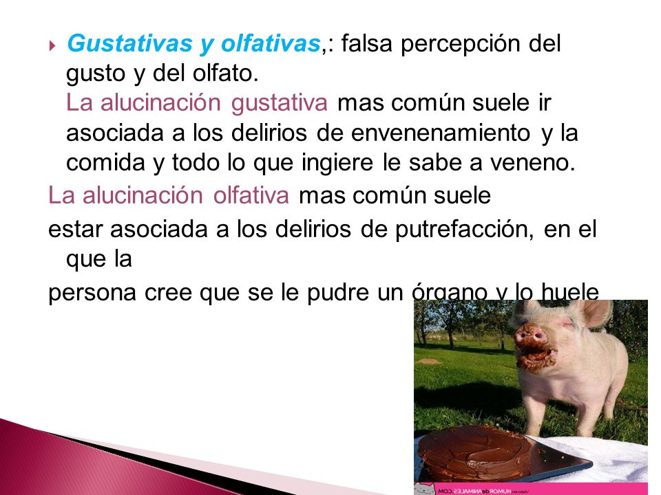 Gustativas y olfativas,: falsa percepción del gusto y del olfato