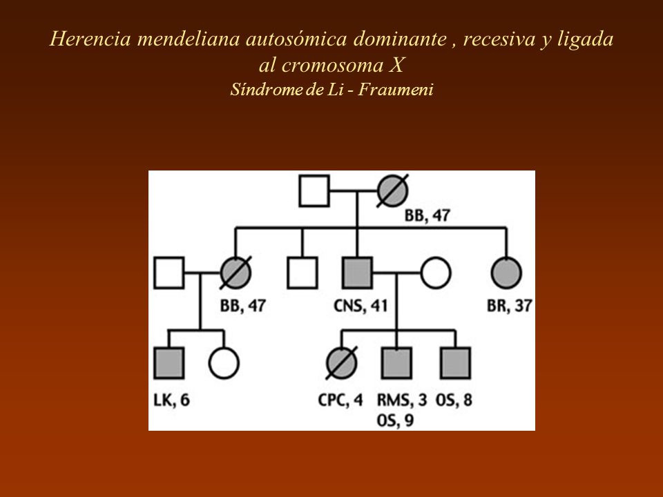 Herencia mendeliana autosómica dominante , recesiva y ligada al cromosoma X Síndrome de Li - Fraumeni