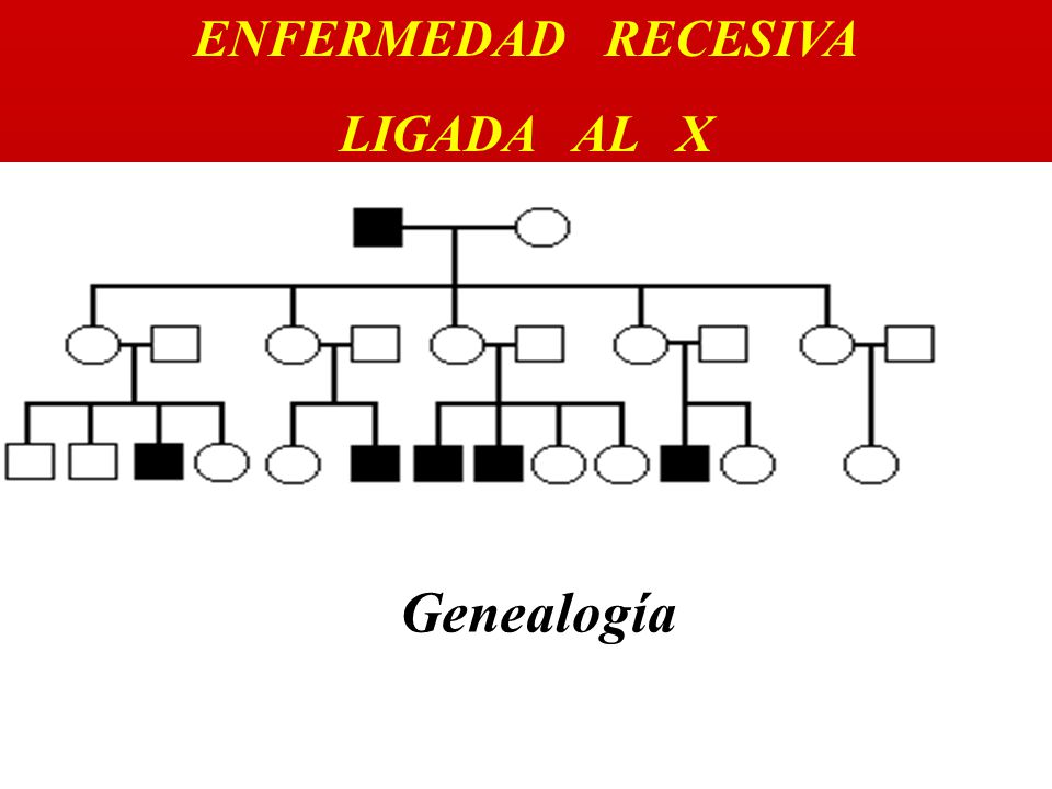 ENFERMEDAD RECESIVA LIGADA AL X Genealogía