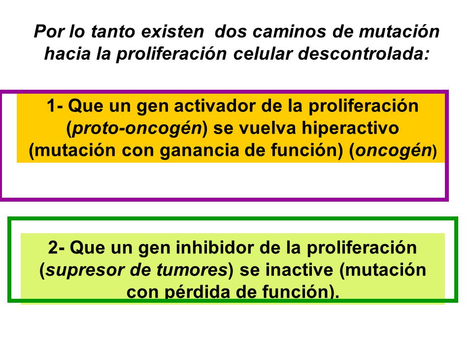 Por lo tanto existen dos caminos de mutación hacia la proliferación celular descontrolada: