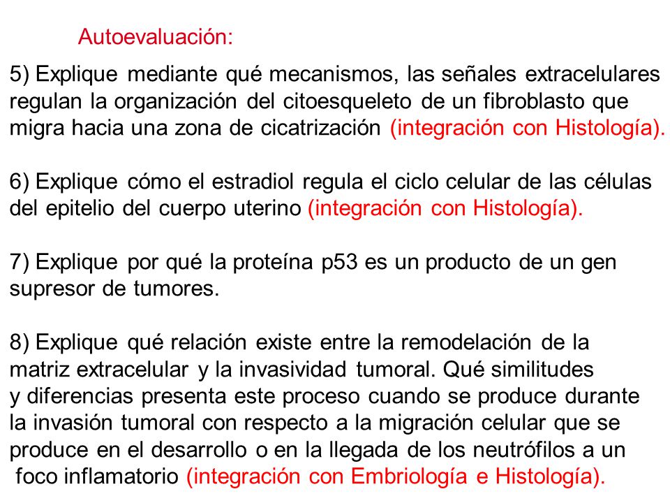 Autoevaluación: 5) Explique mediante qué mecanismos, las señales extracelulares. regulan la organización del citoesqueleto de un fibroblasto que.