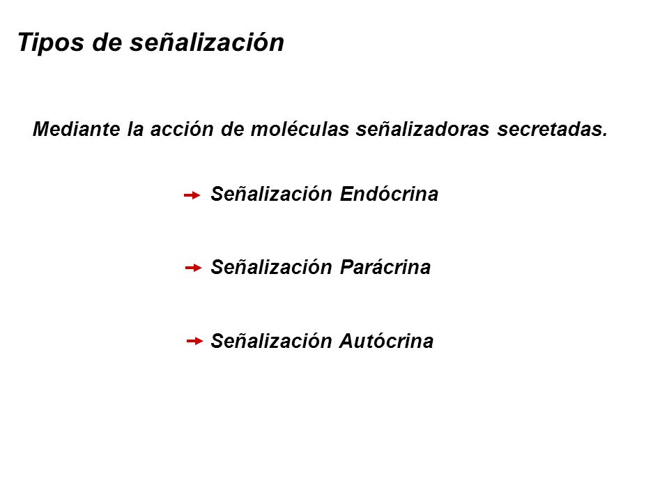 Tipos de señalización Mediante la acción de moléculas señalizadoras secretadas. Señalización Endócrina.