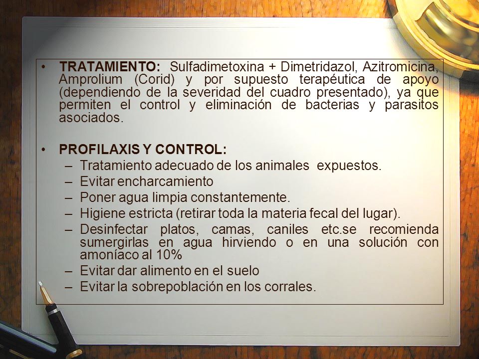 TRATAMIENTO: Sulfadimetoxina + Dimetridazol, Azitromicina, Amprolium (Corid) y por supuesto terapéutica de apoyo (dependiendo de la severidad del cuadro presentado), ya que permiten el control y eliminación de bacterias y parasitos asociados.