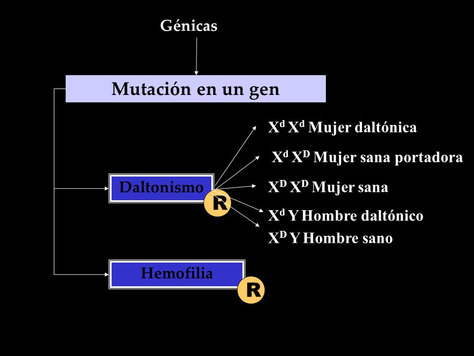 R R Mutación en un gen Génicas Xd Xd Mujer daltónica