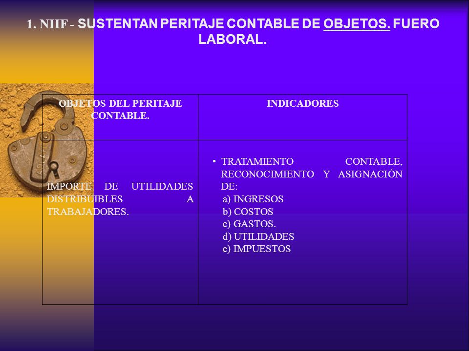 1. NIIF - SUSTENTAN PERITAJE CONTABLE DE OBJETOS. FUERO LABORAL.