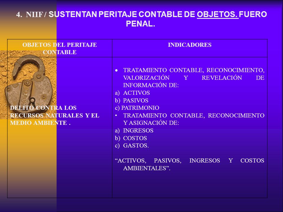 4. NIIF / SUSTENTAN PERITAJE CONTABLE DE OBJETOS. FUERO PENAL.