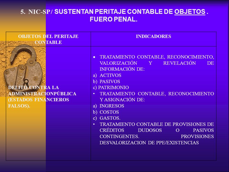 5. NIC-SP / SUSTENTAN PERITAJE CONTABLE DE OBJETOS . FUERO PENAL.