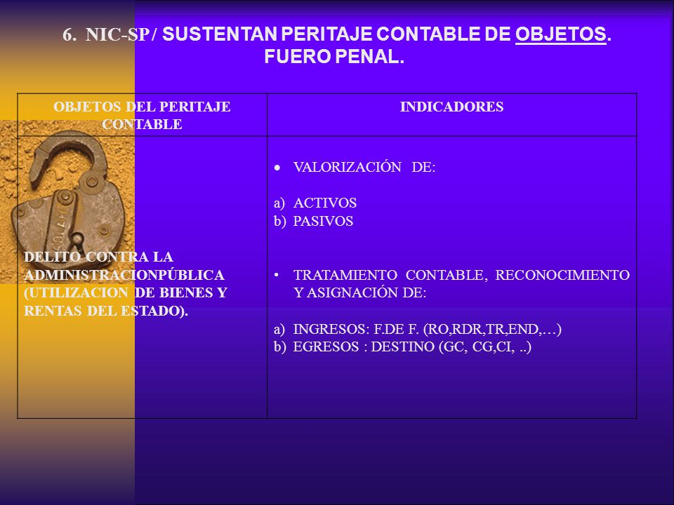 6. NIC-SP / SUSTENTAN PERITAJE CONTABLE DE OBJETOS. FUERO PENAL.