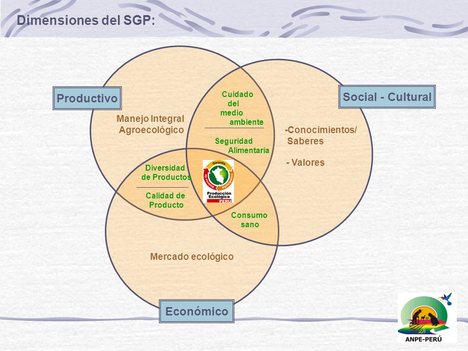 Dimensiones del SGP: Productivo Social - Cultural Económico