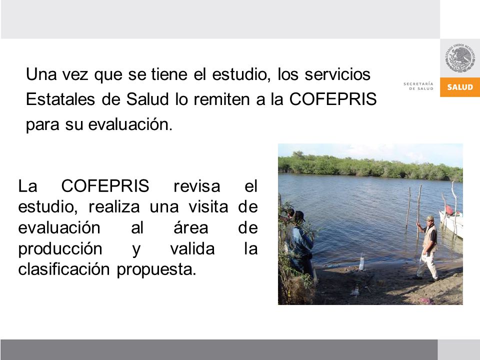 Una vez que se tiene el estudio, los servicios Estatales de Salud lo remiten a la COFEPRIS para su evaluación.