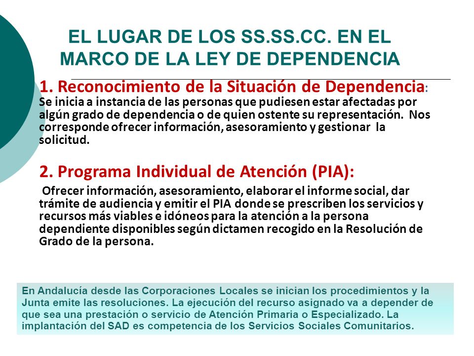 EL LUGAR DE LOS SS.SS.CC. EN EL MARCO DE LA LEY DE DEPENDENCIA