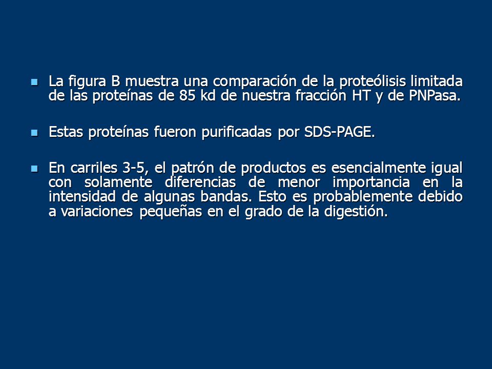 La figura B muestra una comparación de la proteólisis limitada de las proteínas de 85 kd de nuestra fracción HT y de PNPasa.
