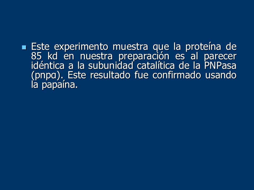 Este experimento muestra que la proteína de 85 kd en nuestra preparación es al parecer idéntica a la subunidad catalítica de la PNPasa (pnpα).