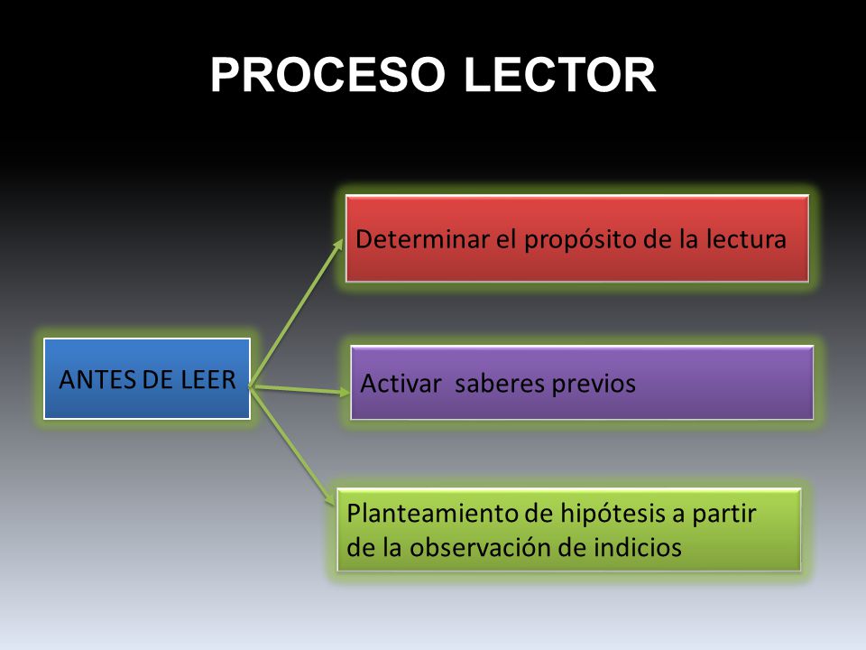 PROCESO LECTOR Determinar el propósito de la lectura ANTES DE LEER