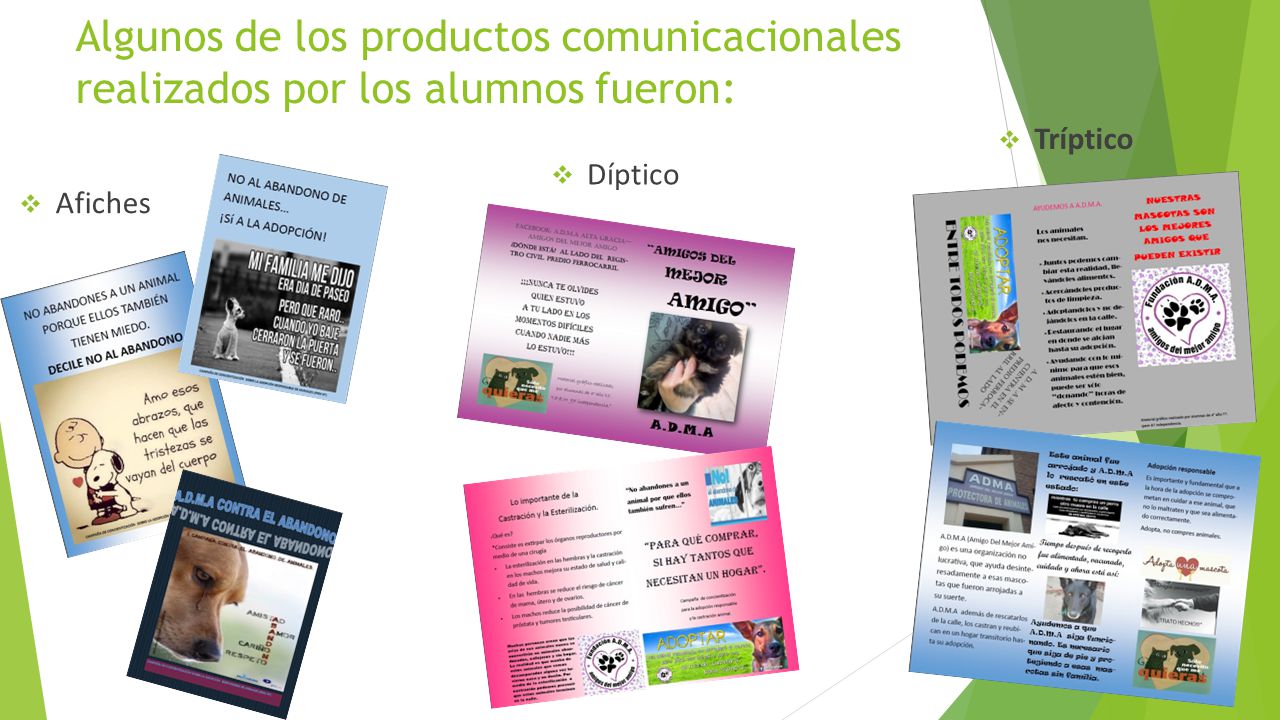 Algunos de los productos comunicacionales realizados por los alumnos fueron: