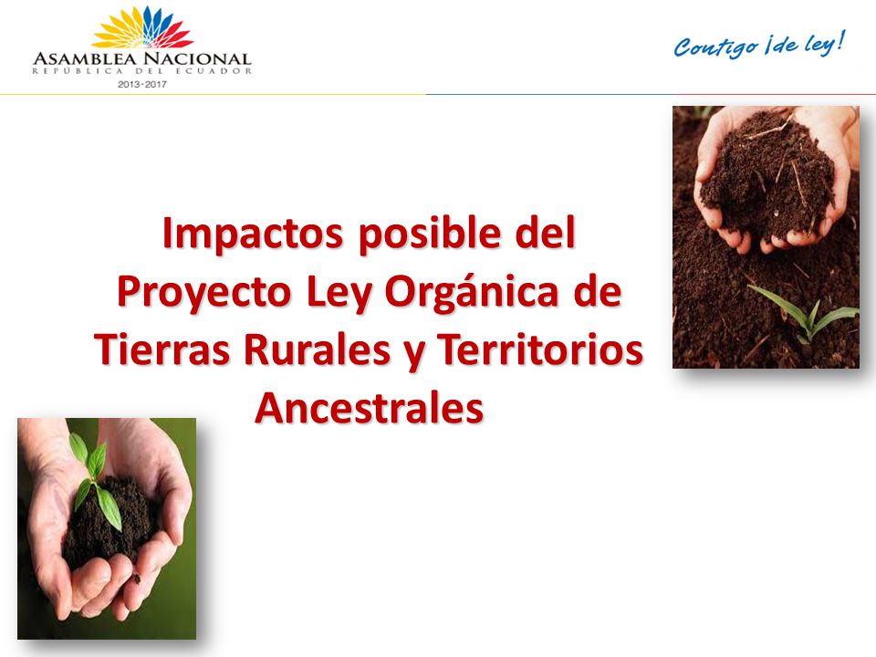 <encabezado> <encabezado> <fecha/hora> <fecha/hora> Impactos posible del Proyecto Ley Orgánica de Tierras Rurales y Territorios Ancestrales.