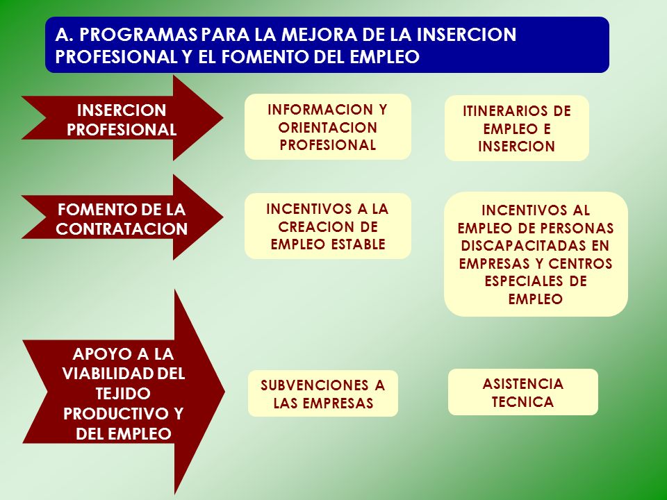 A. PROGRAMAS PARA LA MEJORA DE LA INSERCION PROFESIONAL Y EL FOMENTO DEL EMPLEO
