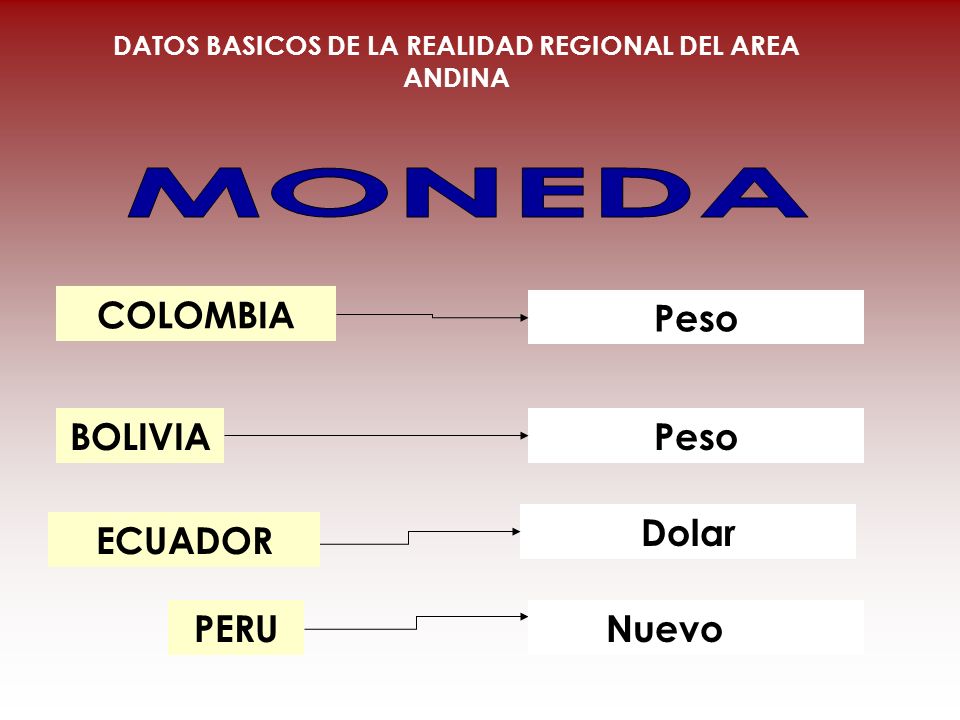 DATOS BASICOS DE LA REALIDAD REGIONAL DEL AREA ANDINA