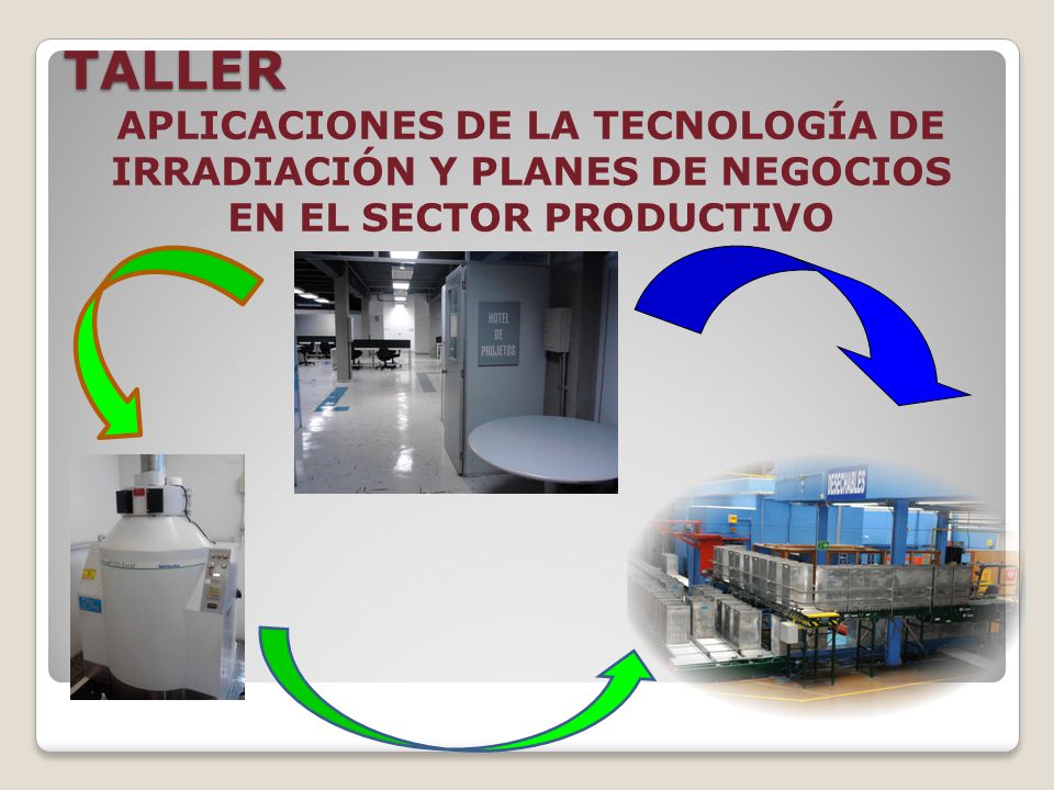 TALLER APLICACIONES DE LA TECNOLOGÍA DE IRRADIACIÓN Y PLANES DE NEGOCIOS EN EL SECTOR PRODUCTIVO