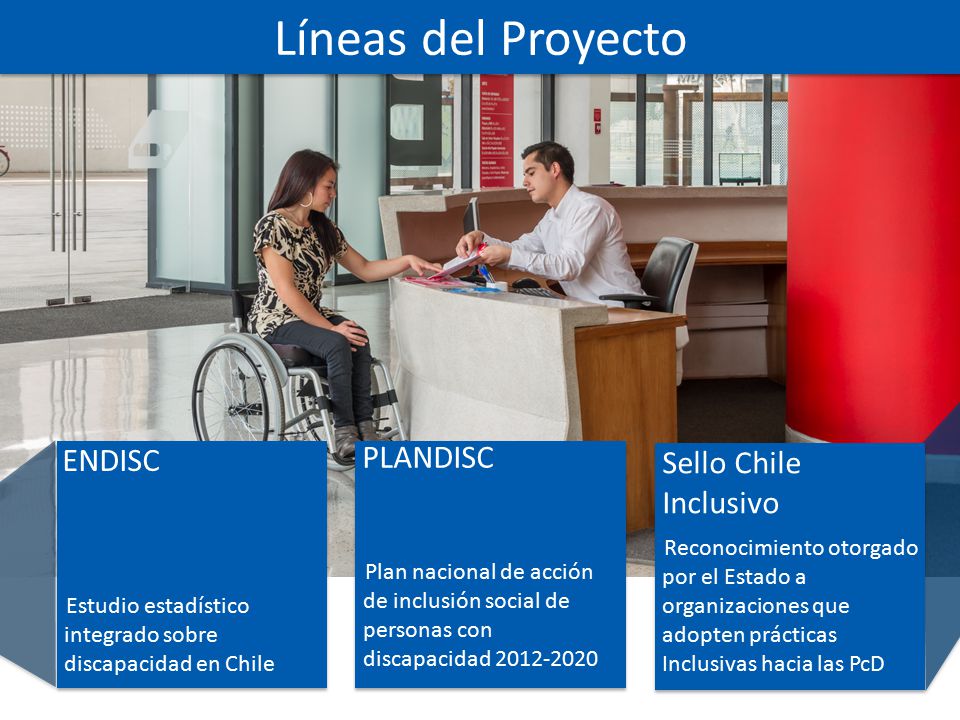 Líneas del Proyecto PLANDISC ENDISC Sello Chile Inclusivo