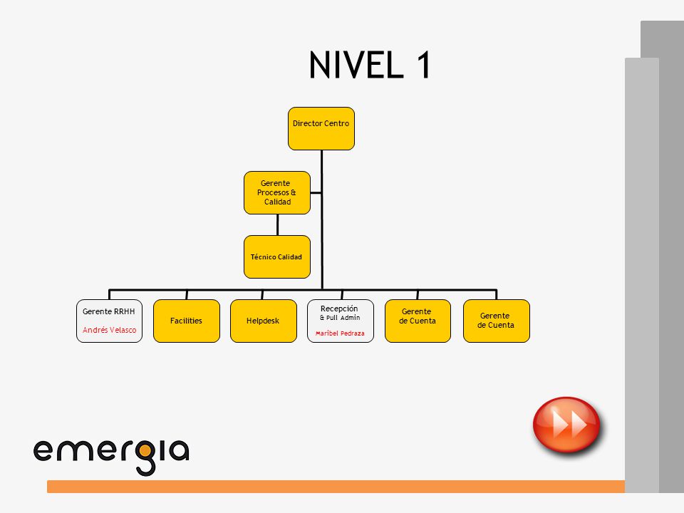NIVEL 1 Director Centro Gerente Procesos & Calidad Técnico Calidad