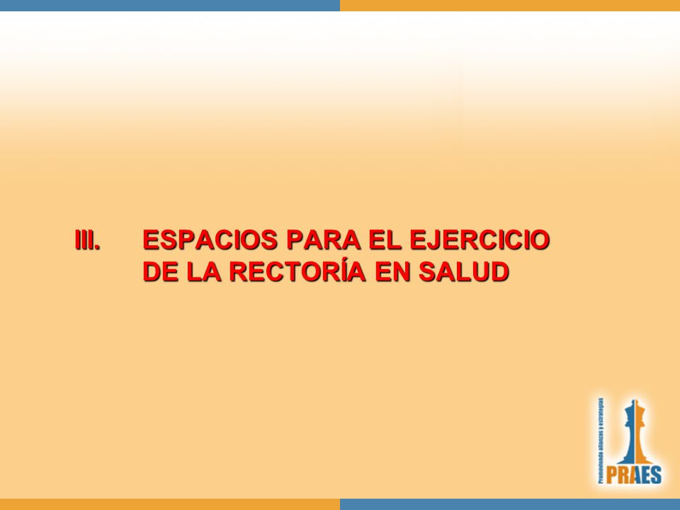 III. ESPACIOS PARA EL EJERCICIO DE LA RECTORÍA EN SALUD