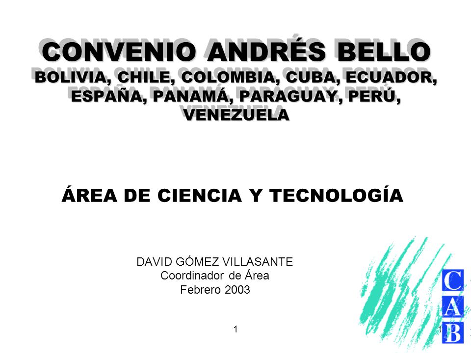 DAVID GÓMEZ VILLASANTE Coordinador de Área Febrero 2003