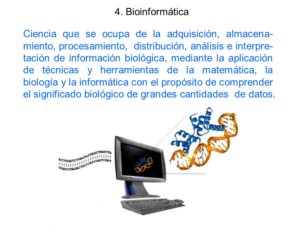 4. Bioinformática