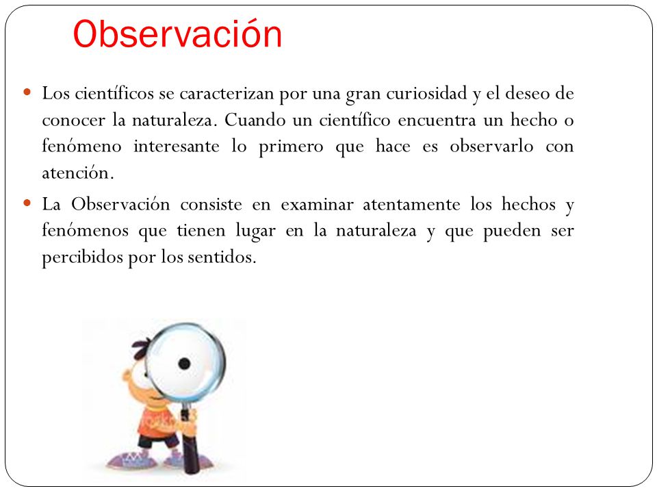 Observación