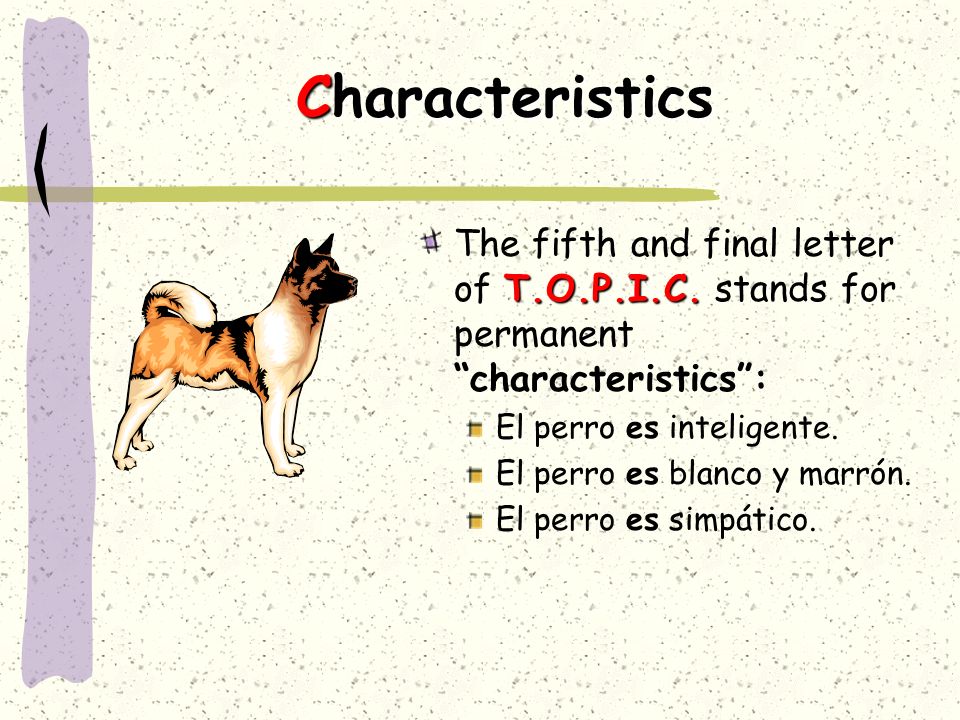 Characteristics The fifth and final letter of T.O.P.I.C. stands for permanent characteristics : El perro es inteligente.