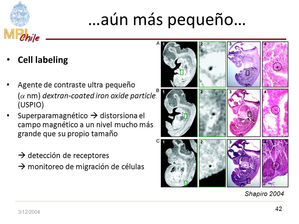 …aún más pequeño… Cell labeling Agente de contraste ultra pequeño