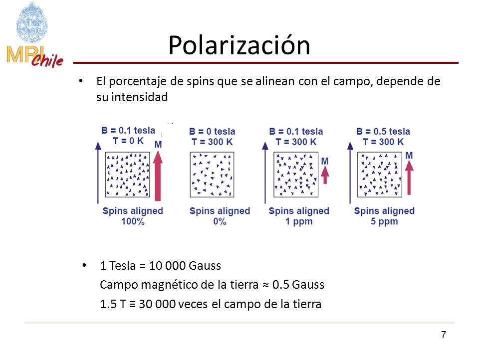 Polarización El porcentaje de spins que se alinean con el campo, depende de su intensidad. 1 Tesla = Gauss.
