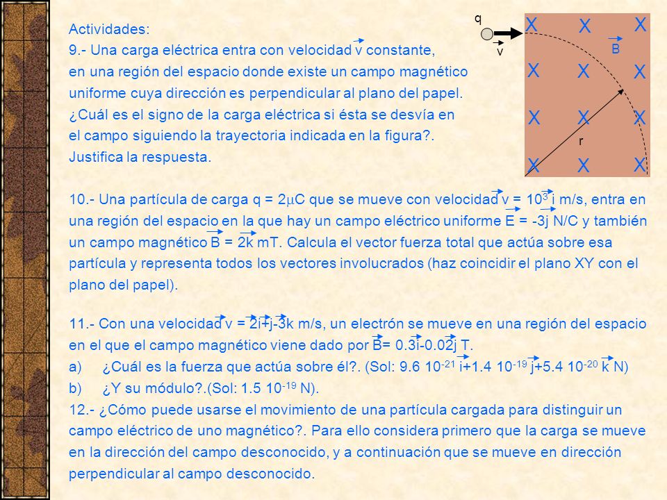 X X X X X X X X X X X X Actividades: