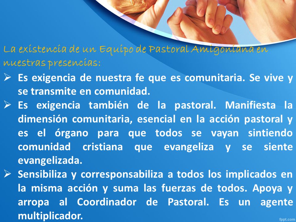 La existencia de un Equipo de Pastoral Amigoniana en nuestras presencias: