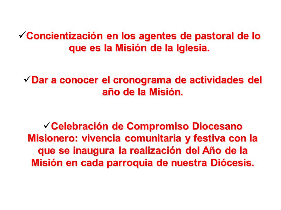 Dar a conocer el cronograma de actividades del año de la Misión.