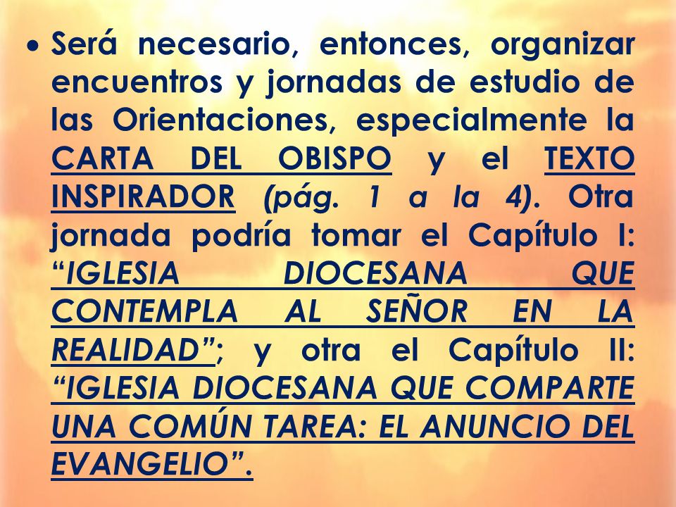 Será necesario, entonces, organizar encuentros y jornadas de estudio de las Orientaciones, especialmente la CARTA DEL OBISPO y el TEXTO INSPIRADOR (pág.