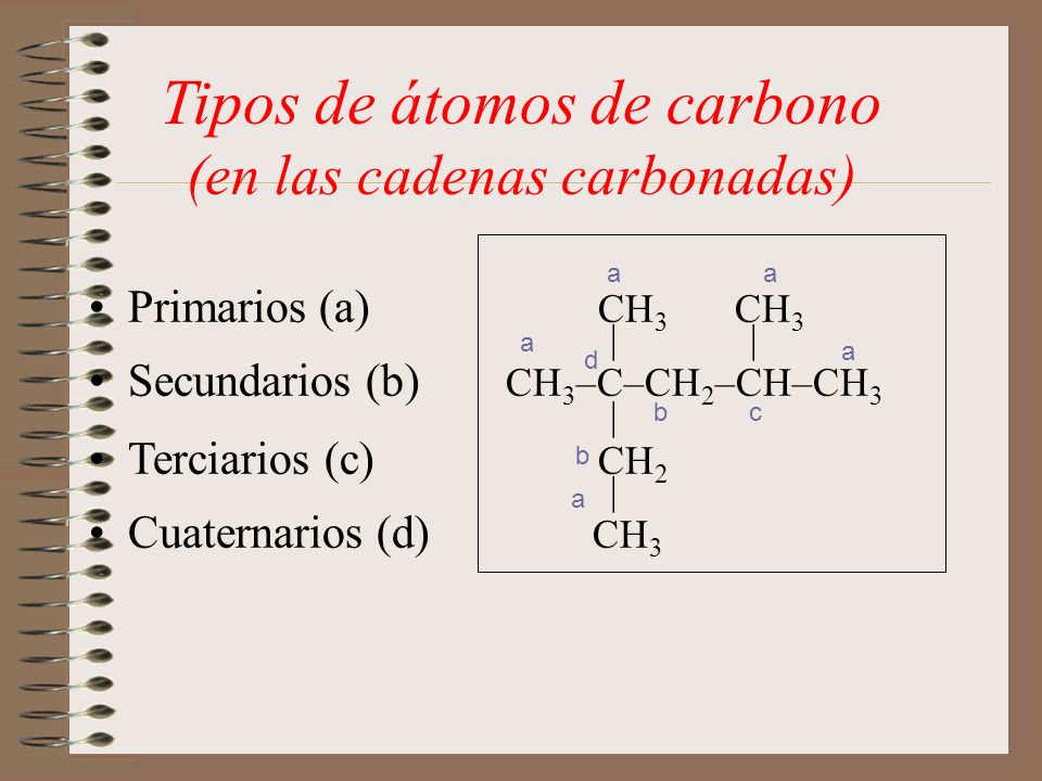Tipos de átomos de carbono (en las cadenas carbonadas)
