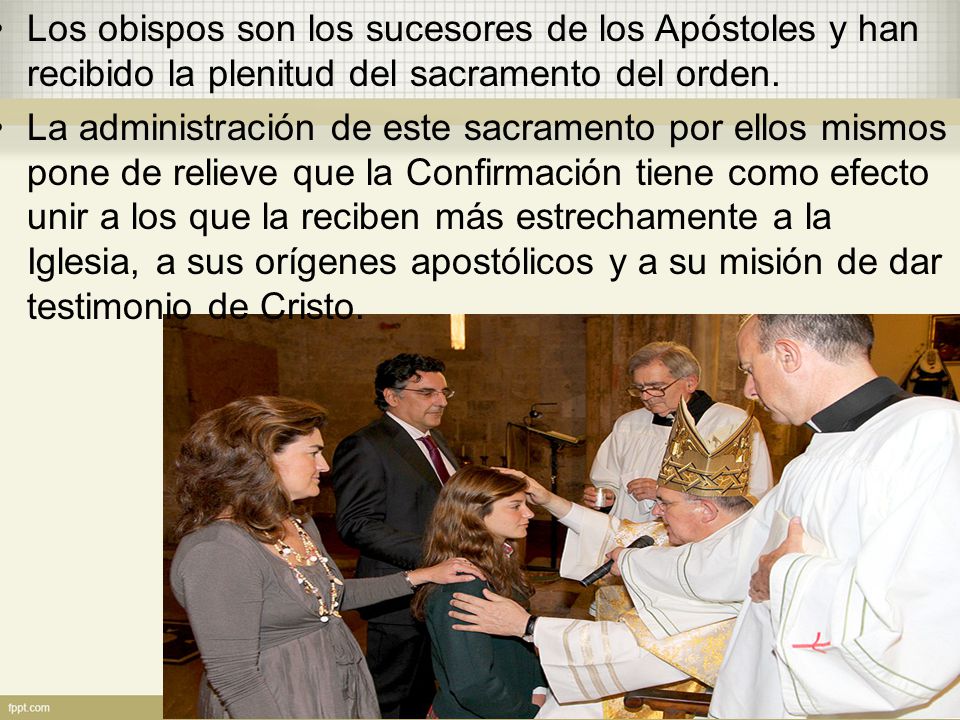 Los obispos son los sucesores de los Apóstoles y han recibido la plenitud del sacramento del orden.
