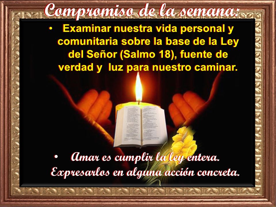 Amar es cumplir la ley entera. Expresarlos en alguna acción concreta.