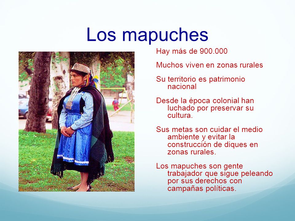 Los mapuches